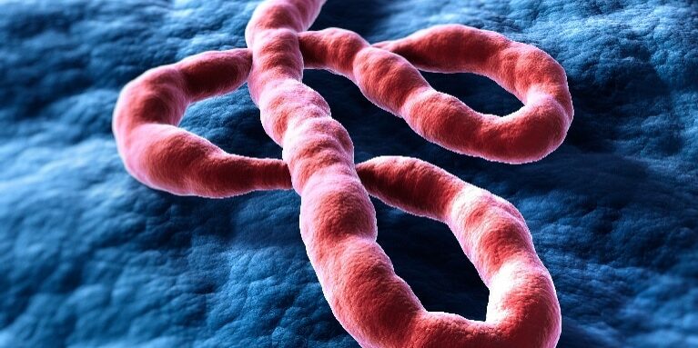 Ebola-panorama-86d191b19e4da1b09e84c68f3961b110-ifmulep01ros